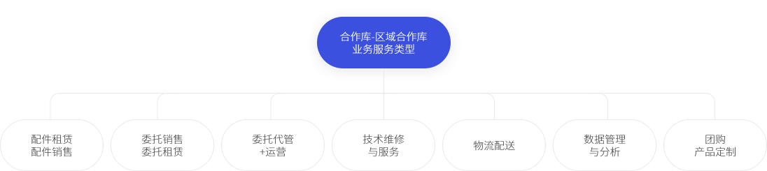 提供的服务